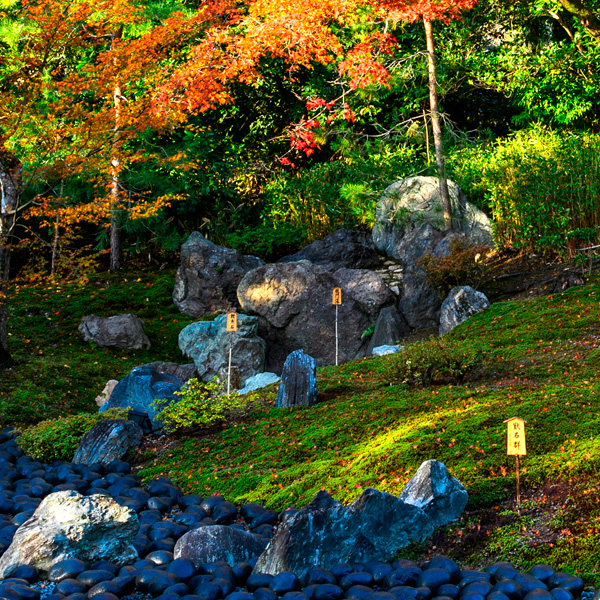 The Dragon Gate Falls