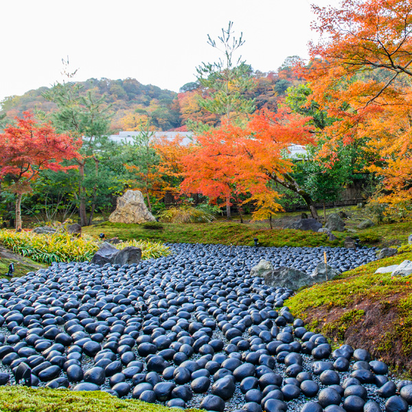 The “Sea of Suffering