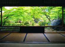 書院